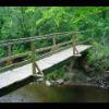 PrinceWilliamNationalForest-20040523-28.JPG