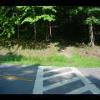 PrinceWilliamNationalForest-20040523-30.JPG