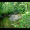 PrinceWilliamNationalForest-20040523-33.JPG