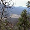 SignalKnob-20050213-07.JPG