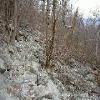 SignalKnob-20050213-30.JPG