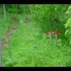 SkyMeadows-20040516-16.JPG