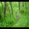 SkyMeadows-20040516-18.JPG