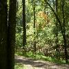Yorktown-20040926-13.JPG