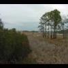 Assateague20060114-03.JPG
