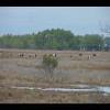 Assateague20060114-04.JPG