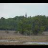 Assateague20060114-06.JPG