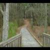 Assateague20060114-07.JPG