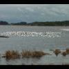 Assateague20060114-17.JPG
