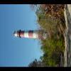 Assateague20060114-28.JPG