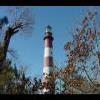 Assateague20060114-29.JPG