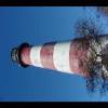 Assateague20060114-30.JPG