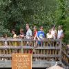 KingsDominion-20040905-23.JPG