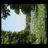 MemorialDay2006-01.JPG