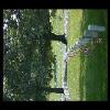 MemorialDay2006-05.JPG