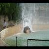 NoelleAndShawn-August2005-66.JPG