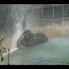 NoelleAndShawn-August2005-69.JPG