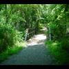 PrinceWilliamNationalForest-20040523-08.JPG
