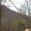 SignalKnob-20050213-01.JPG