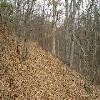 SignalKnob-20050213-02.JPG