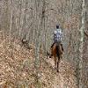 SignalKnob-20050213-04.JPG
