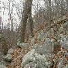 SignalKnob-20050213-09.JPG