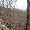 SignalKnob-20050213-10.JPG