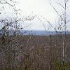 SignalKnob-20050213-12.JPG