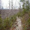 SignalKnob-20050213-13.JPG
