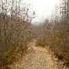 SignalKnob-20050213-15.JPG