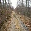 SignalKnob-20050213-16.JPG