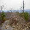 SignalKnob-20050213-18.JPG