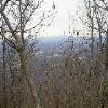 SignalKnob-20050213-20.JPG