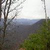 SignalKnob-20050213-21.JPG