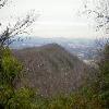 SignalKnob-20050213-23.JPG