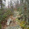 SignalKnob-20050213-24.JPG