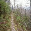 SignalKnob-20050213-25.JPG