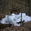 SignalKnob-20050213-34.JPG