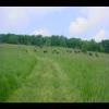 SkyMeadows-20040516-07.JPG