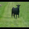 SkyMeadows-20040516-08.JPG