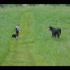 SkyMeadows-20040516-09.JPG