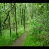 SkyMeadows-20040516-12.JPG