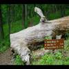 SkyMeadows-20040516-13.JPG