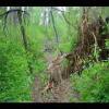 SkyMeadows-20040516-17.JPG