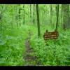 SkyMeadows-20040516-19.JPG