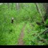 SkyMeadows-20040516-23.JPG