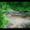 SkyMeadows-20040516-24.JPG