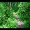 SkyMeadows-20040516-25.JPG