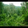 SkyMeadows-20040516-27.JPG