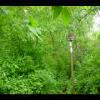 SkyMeadows-20040516-28.JPG